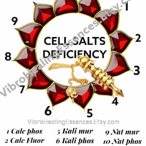 Schuessler Cell Salts Dowsing Chart
