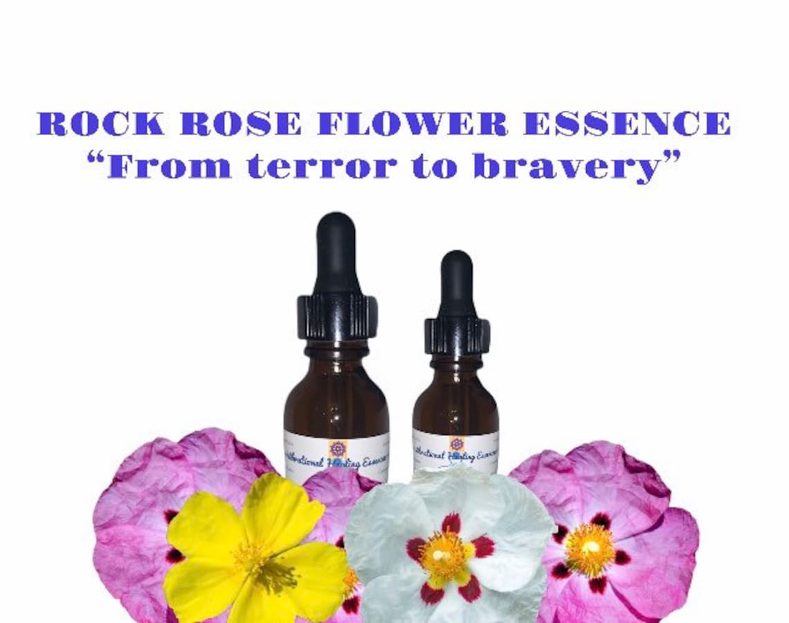 ROCK ROSE FLOWER Essence Powerful Vibrational Healing Remedy Etsy
