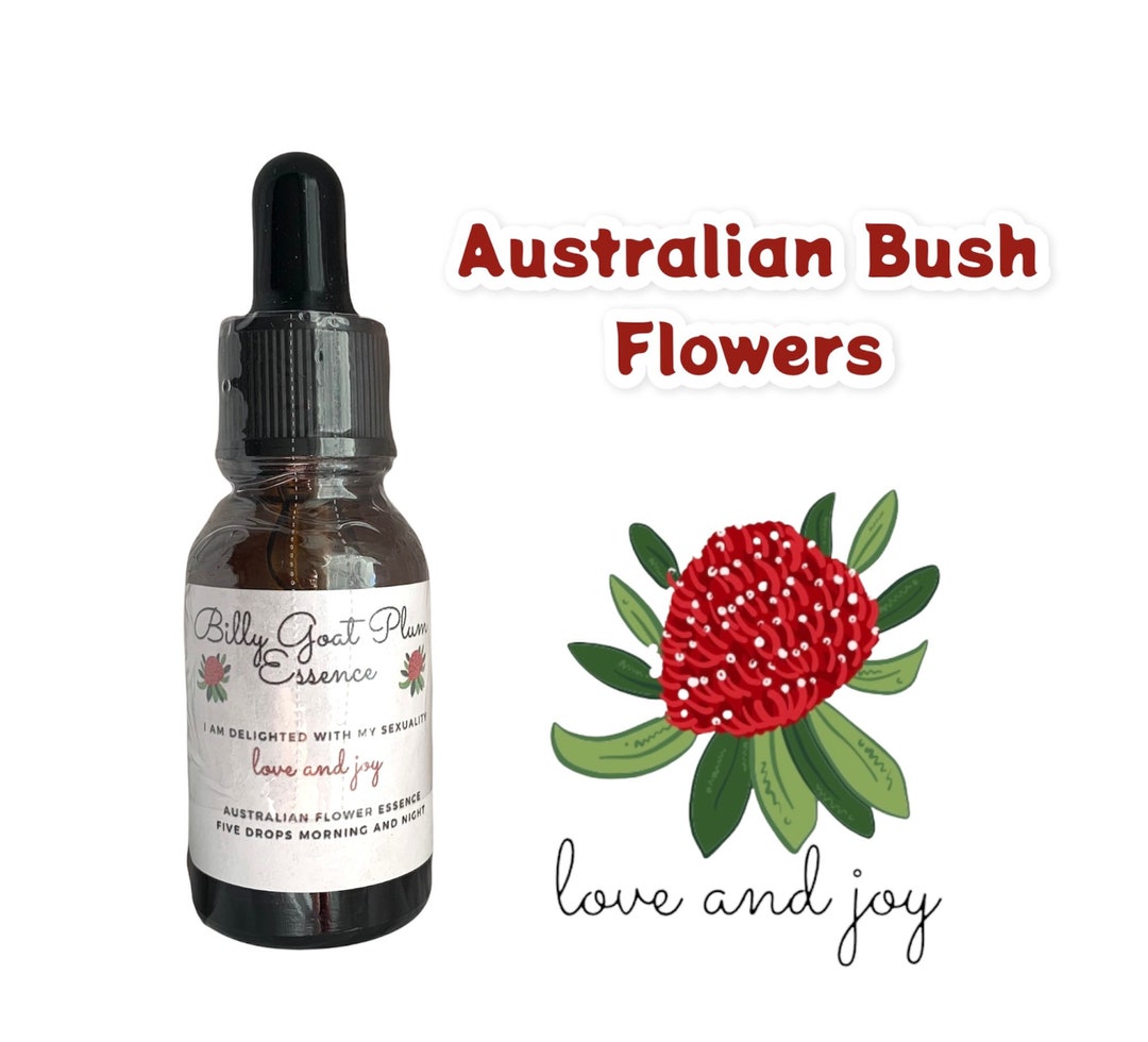 BILLY GOAT PLUM Flower Elixir Australian Bush Flowers Etsy