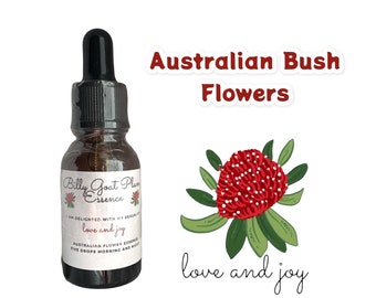 Billy Goat Plum Flower Elixir | Australian Bush Flower Essence | Planchonia careya | Acceptance, Pleasure & Emotional Transformation