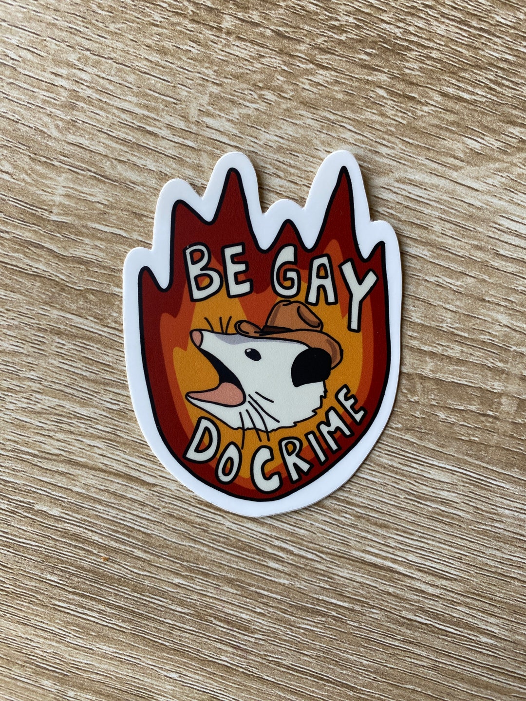 Be Gay Do Crime Opossum Vinyl Sticker - Etsy Canada