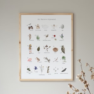 Nature Alphabet Print | Alphabet Poster | Montessori | Nursery Prints | ABC Poster | Homeschool Nature | Nursery Wall Art | Digital Download