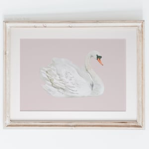 Swan Print, Swan Nursery Wall Art, Nursery Prints, Swan Nursery Art, Pink Swan Ballerina, Digital Download