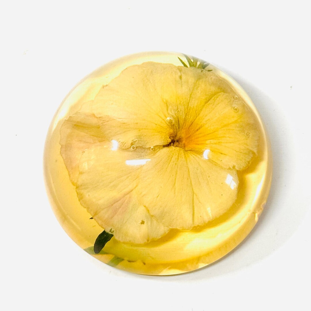 Vintage Signed W. Rolfe Lucite Flower Paperweight - Etsy