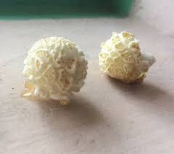 popped mushroom popcorn