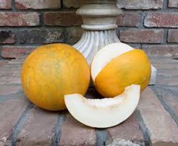 collective farm woman melon