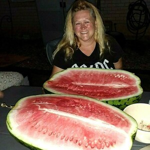 Puede incluir: Dos sand&iacute;as grandes, cortadas por la mitad, con pulpa roja brillante y semillas negras. La sand&iacute;a est&aacute; sobre una mesa con una persona en el fondo.