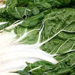 Large White Ribbed Swiss Chard Seeds