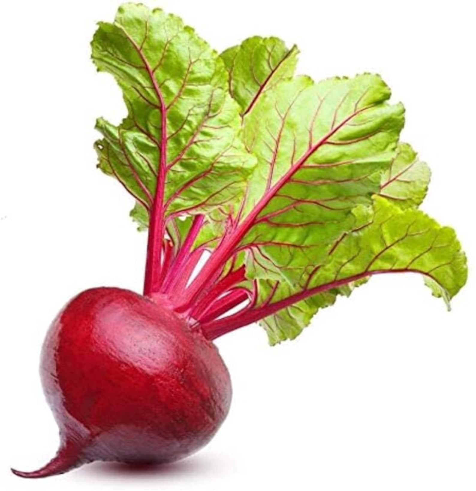 Ruby Queen Beet Seeds - Etsy