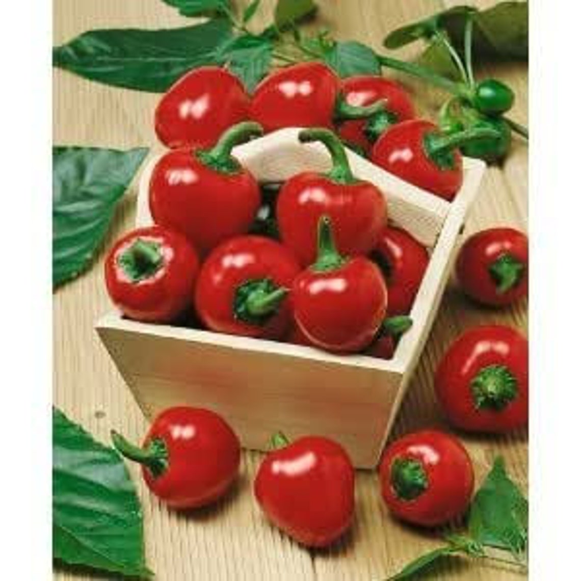 Hot Cherry Bomb Pepper Seeds Etsy