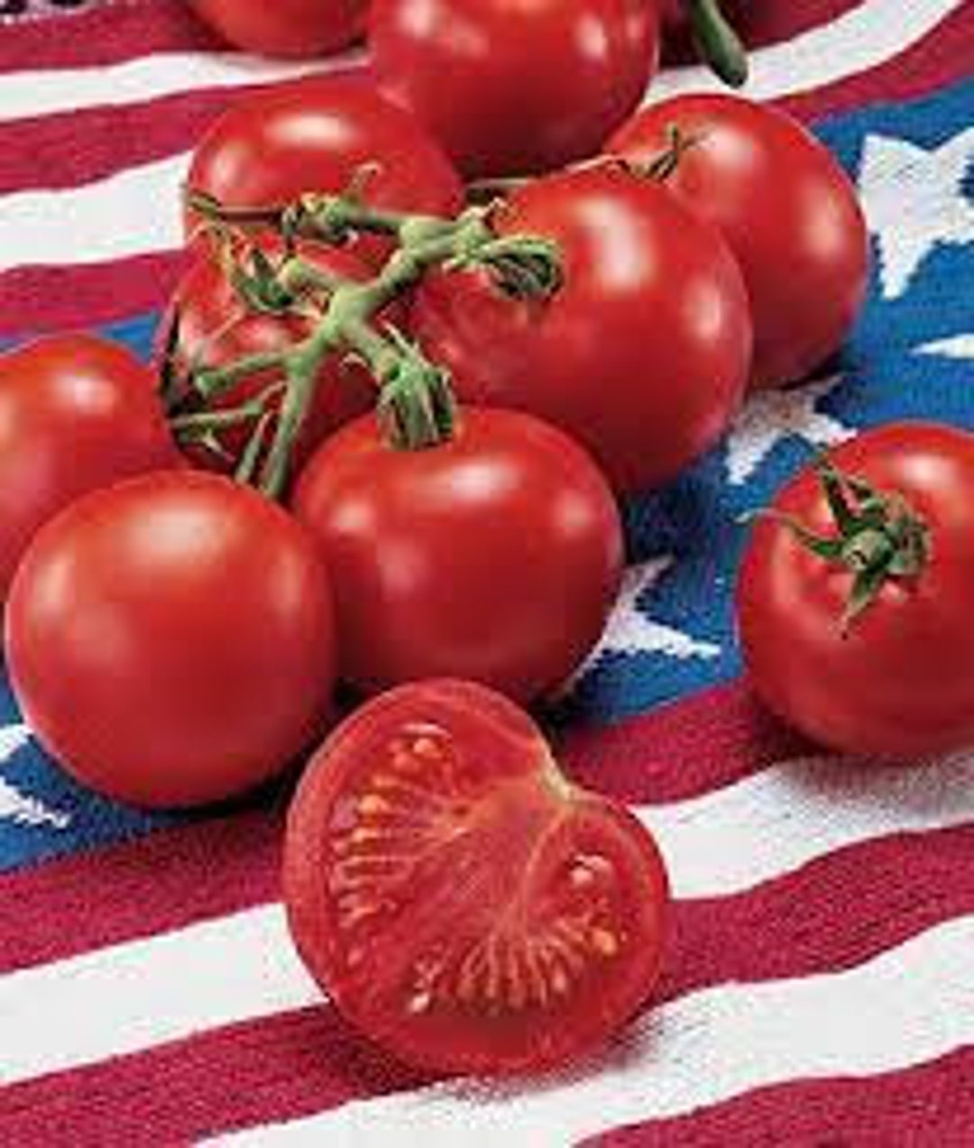 independence day tomato seed
