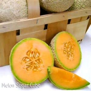 May include: A basket of ripe cantaloupe melons, with one cut open to reveal the orange flesh and black seeds. The melon variety is labeled "Melon Sugar Cube".