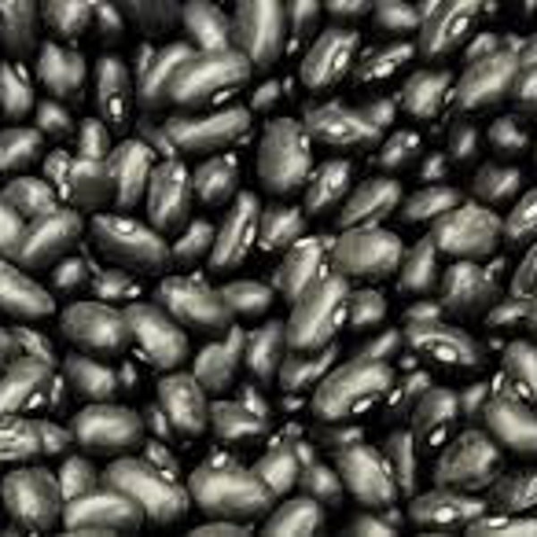 Black Turtle Beans Etsy
