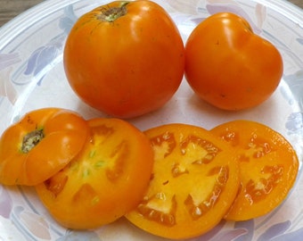 Peg's Round Orange Tomato Seeds