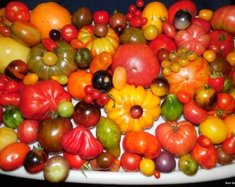 Mix of 200 DIFFERENT KINDS of Heirloom Tomatoes! Pack of 200 Seeds!
