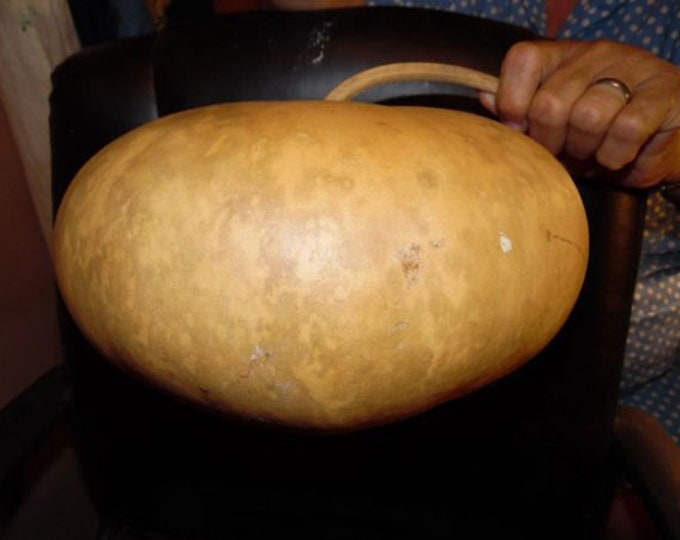 Canteen Gourd Seeds Etsy