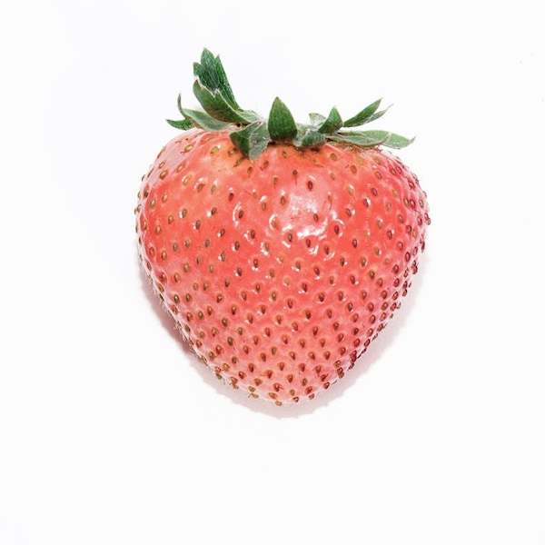 Rosy Pink Strawberry Seeds