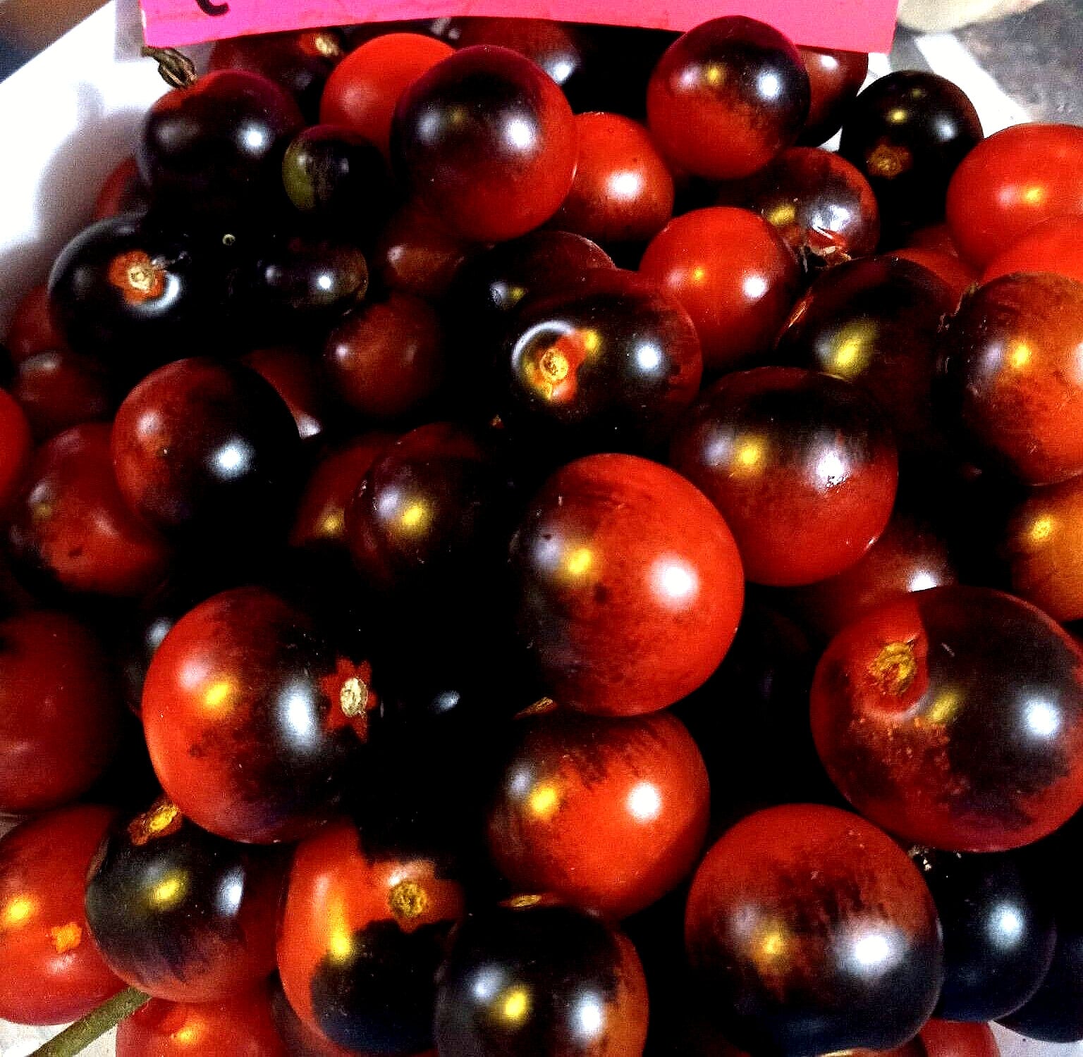 Midnight Snack Tomato Seeds (massive Clusters of Fruit) - Etsy