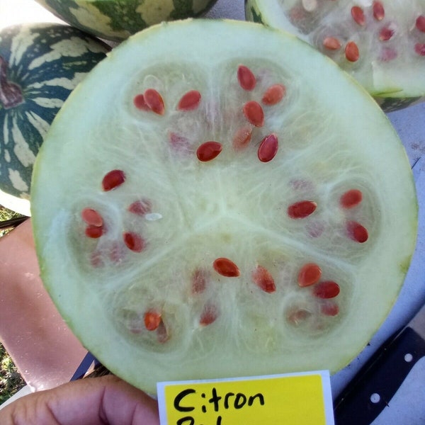 Citron Red Seeded Watermelon Seeds