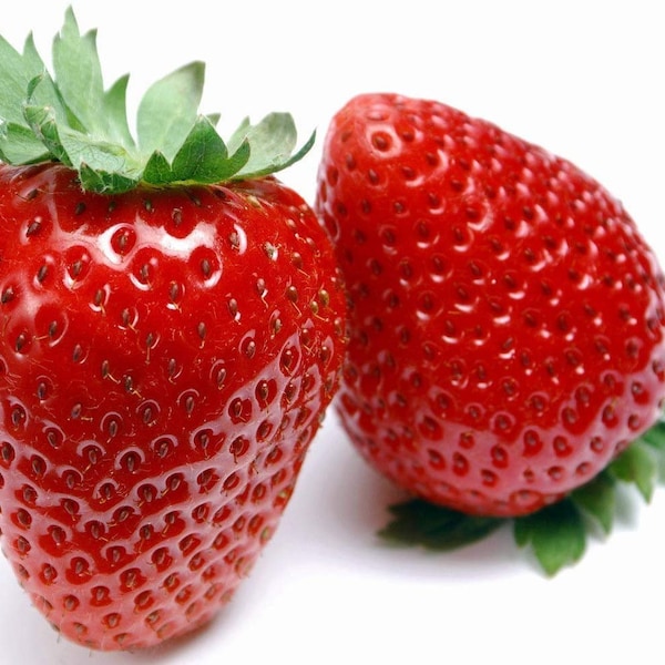 Eversweet Strawberry- 25 Seeds  Super sweet & bears fruit ALL SUMMER!