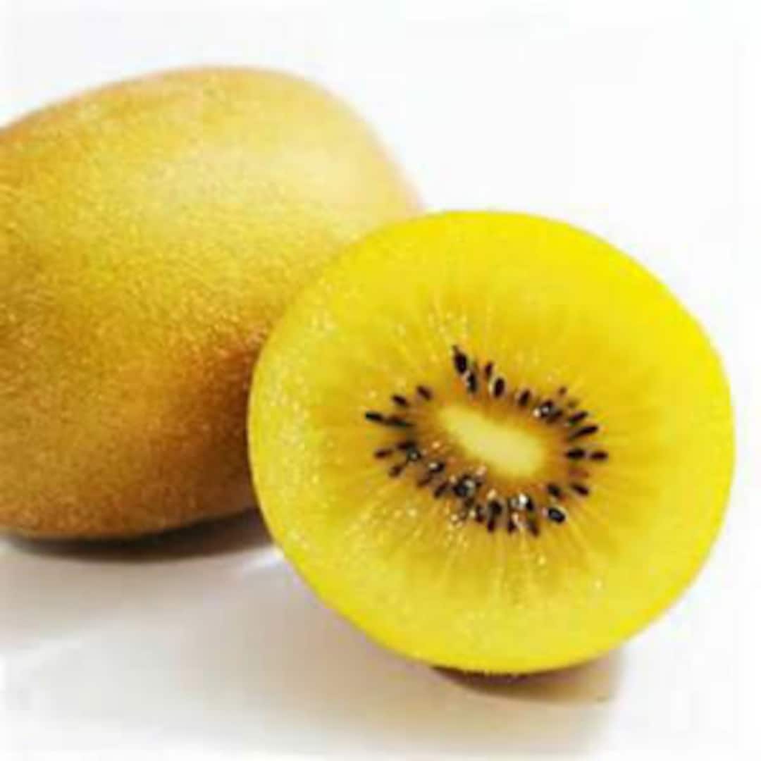 Rare Golden Kiwi Vine Fruit Seeds Etsy
