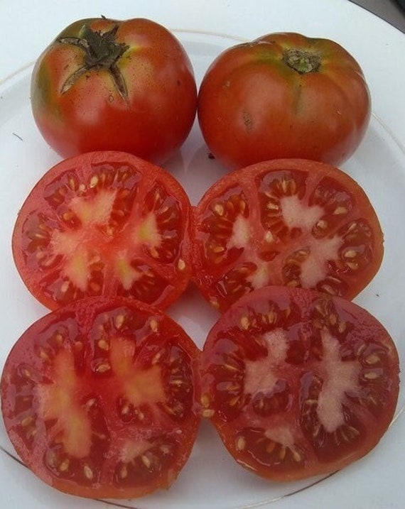 Opal's Homestead Tomato Seeds