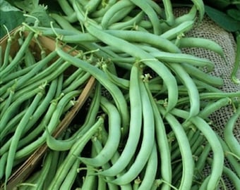 May include: A close-up shot of fresh, vibrant green string beans. The beans are piled in a woven basket, with some spilling out onto a burlap surface. The beans are long, slender, and have a slightly curved shape.