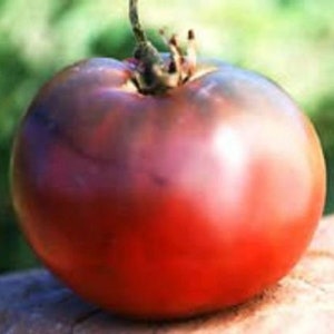 Cherokee Purple Tomato Seeds