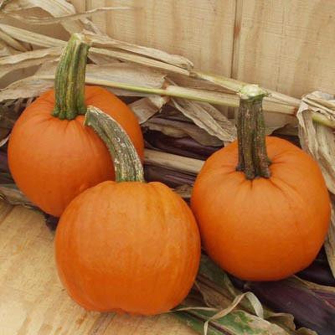 Iron Man Pumpkin Seeds Etsy