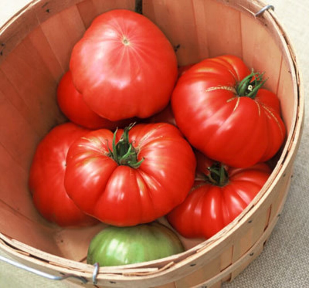 Watermelon Beefsteak Tomato Seeds Etsy