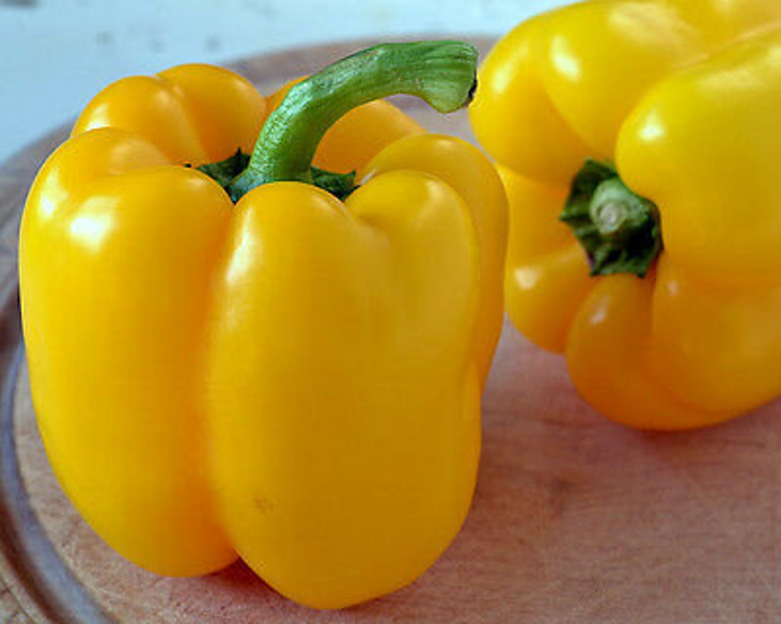 Golden California Wonder Sweet Bell Pepper Seeds Etsy