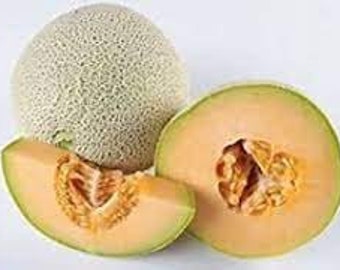 Top Mark Melon Seeds