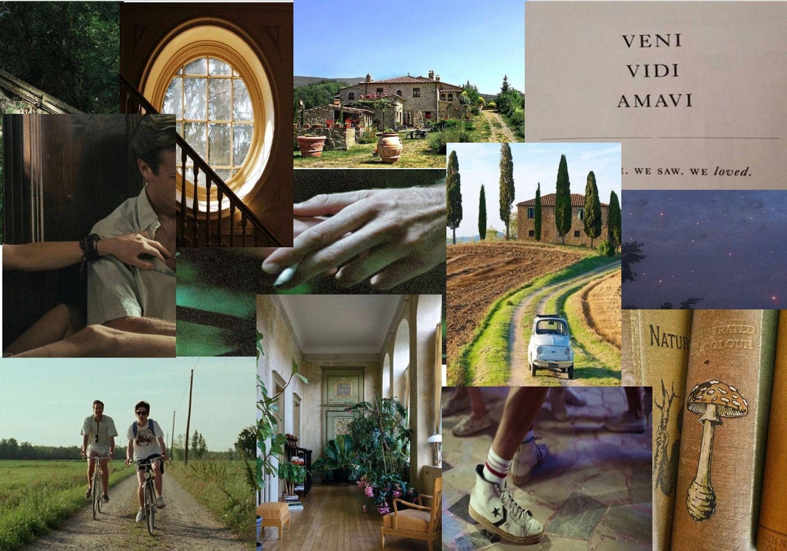 Call Me By Your Name Aesthetic Digital Wall Collage Kit 50 Etsy Call Me By Your Name Aesthetic Digital Wall Collage Kit 50 Etsy