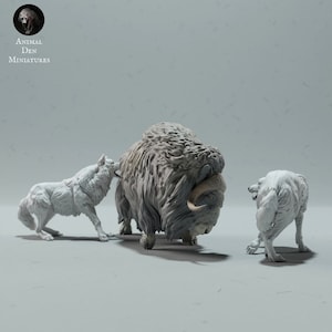 3D-Print Honourguard - Animal Den Miniatures - Arctic Wolves hunting a Musk Ox - 35, 54 and 75mm scale