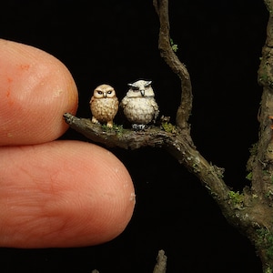 動物セット - フクロウ