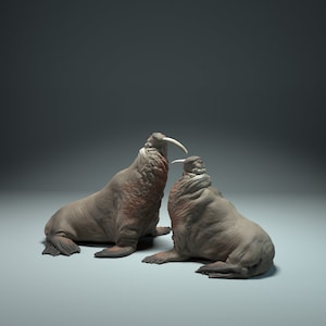 3D-Print Honourguard - Animal Den Miniatures - Walrus