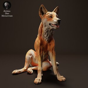May include: A detailed miniature figurine of a red and orange dingo, a wild dog native to Australia, sitting with its legs crossed and looking to the right. The figurine is painted with realistic details, including fur, teeth, and tongue.