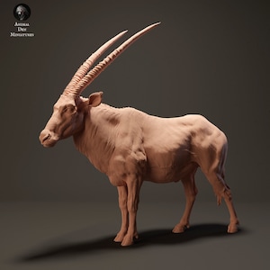 3D-Print Honourguard - Animal Den Miniatures - ORYX Antilope (4 Variants) (NOT PAINTED)