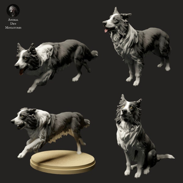 3D-Print Honourguard - Animal Den Miniaturen - Bauernhof Tiere - Border Collie Set - UNBEMALT!