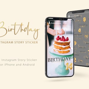 BIRTHDAY PARTY |  Instagram Story Sticker