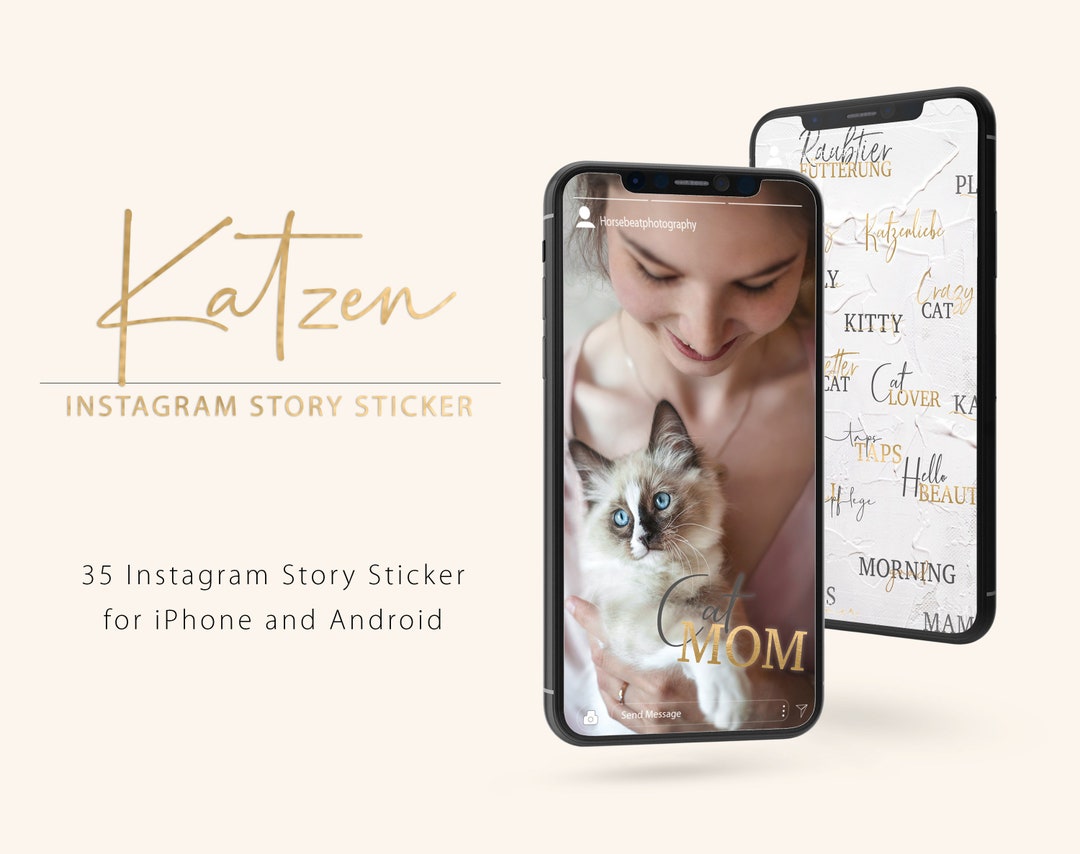 CAT Sticker | cat Sticker Instagram - Etsy