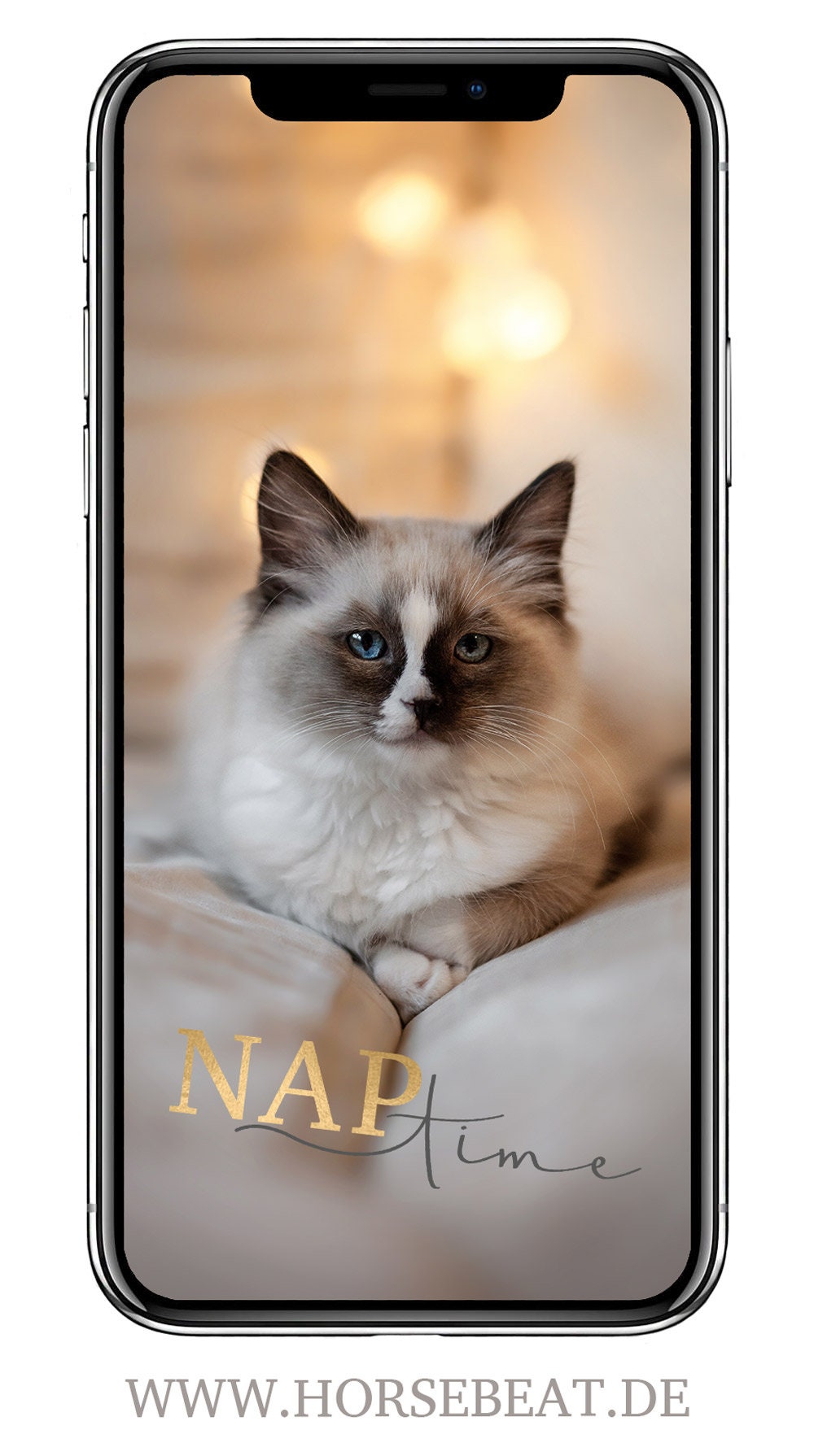 KATZEN Sticker cat Sticker Instagram Etsy Canada