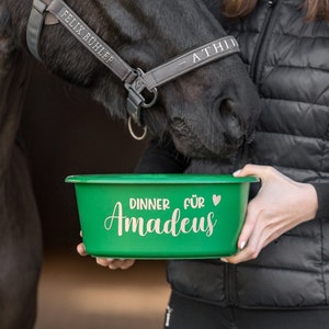 Aufkleber Futterschüssel Müslischale Pferd personalisiert Futterschale Pony Mash Stall Bild 5