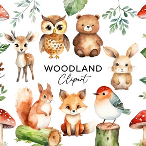 Clipart aquarelle animaux de la forêt, créatures de la forêt PNG Bundle mignon renard ours lapin cerf chouette usage commercial chambre d'enfant Clip Art Invitations
