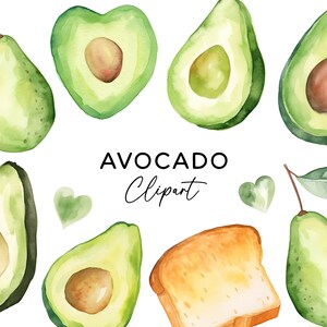 Avocado Clipart Bundle, Aquarell PNG Sublimationsgrafiken Kommerzielle Nutzung Digitaler Download Avo Art für Einladungen Aufkleber Scrapbooking