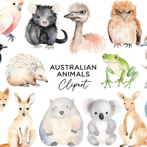 Pacote de clipart de animais australianos - Aquarela Aussie Wildlife PNG para arte de parede de berçário convites infantis - Dingo Kangaroo Koala Wombat
