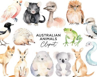 Puede incluir: Ilustraciones de acuarela de animales australianos, incluyendo un kookaburra, un equidna, un koala, un canguro, un wombat y más. Las ilustraciones están en un estilo caprichoso y son perfectas para usar en scrapbooking, creación de tarjetas u otros proyectos creativos.