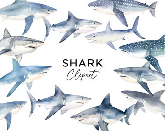 Watercolor Shark Clipart Bundle, Ocean Under The Sea Creatures Shark PNG Digital Download Commercial Use Invitations Stickers Scrapbooking