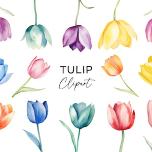 Tulip Clipart Bundle, Watercolor Floral Flower Tulips PNG Botanical Art Spring Clip Art for Wedding Invitations or Stickers Commercial Use