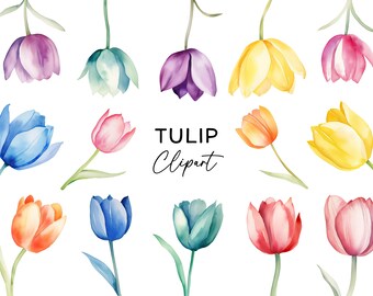 Tulip Clipart Bundle, Watercolor Floral Flower Tulips PNG Botanical Art Spring Clip Art for Wedding Invitations or Stickers Commercial Use